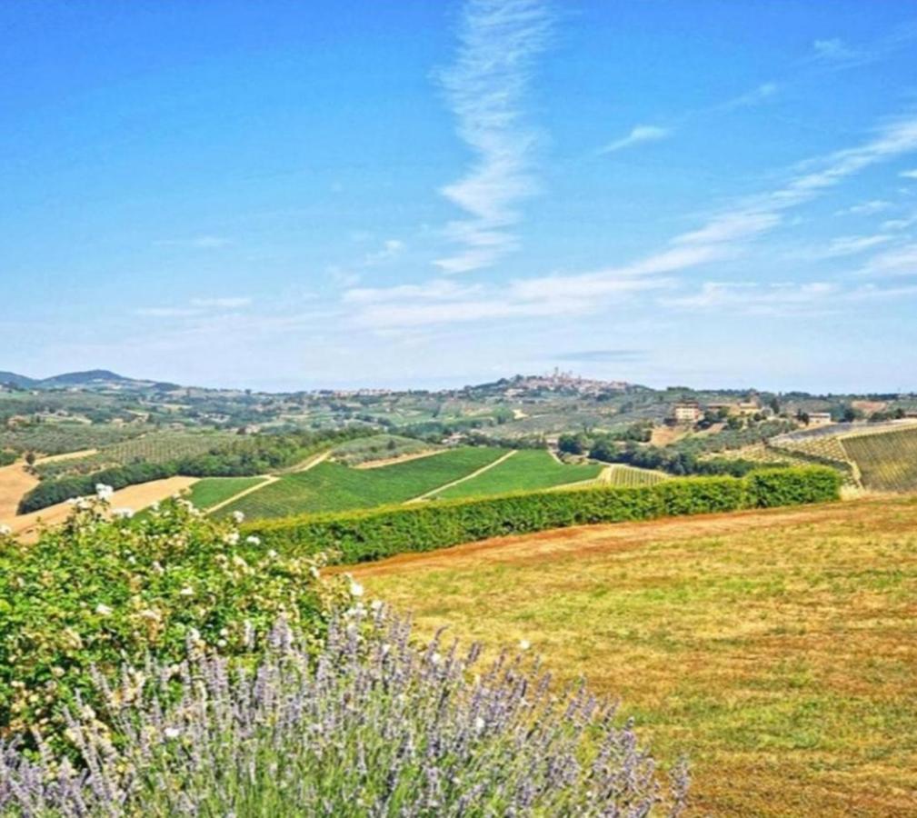 Agriturismo Fattoria Il Piano - Appartamento Lavanda - San Gimignano Exterior photo